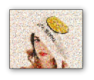 Photo Mosaic Canvas Print Supply